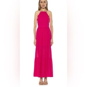 Alexia Admor Vibrant Fuchsia Maxi Dress